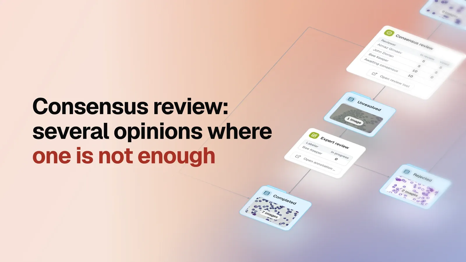 Consensus review: several opinions where one is not enough