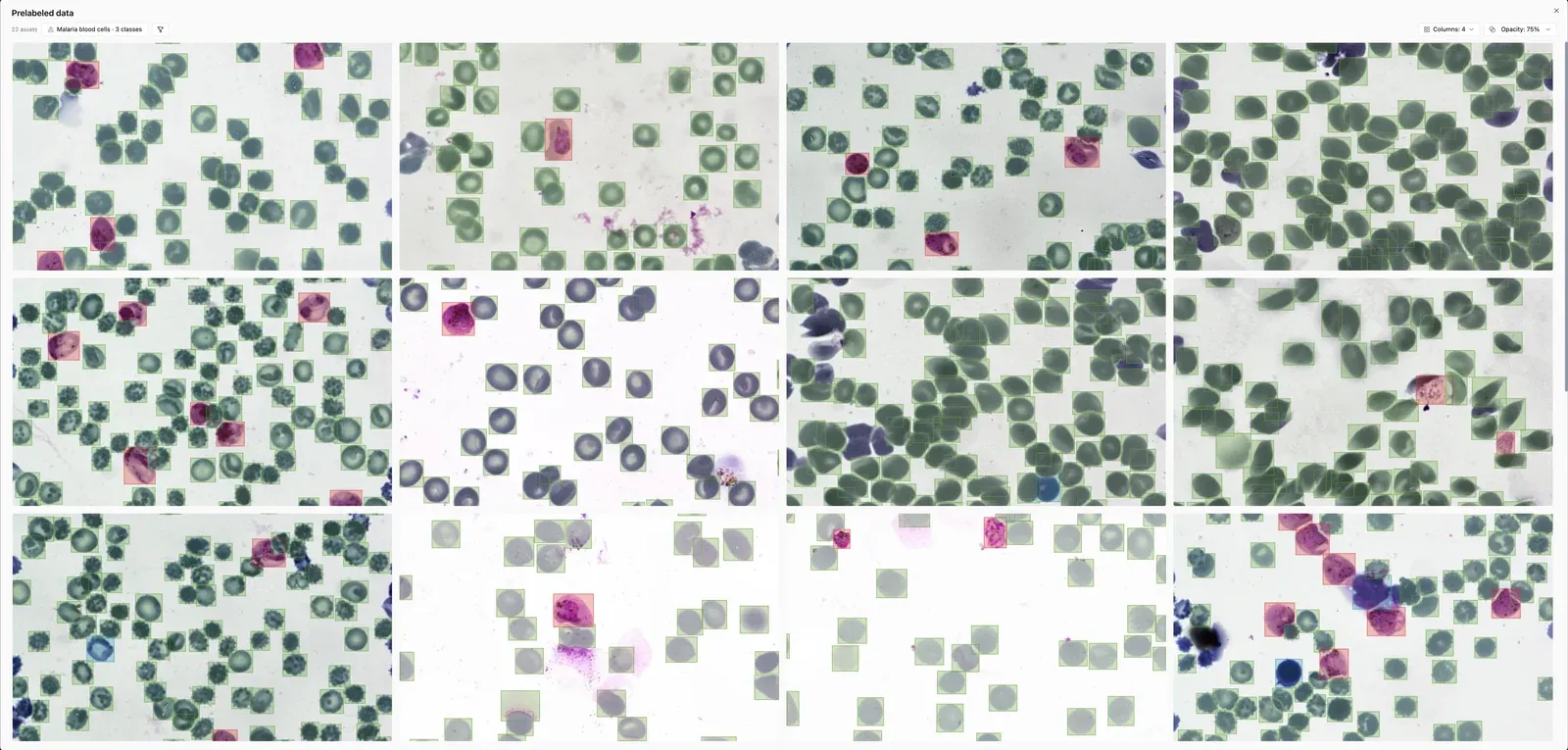 A grid of prelabeled blood smear images: every cell already has a box, infected cells are marked in red