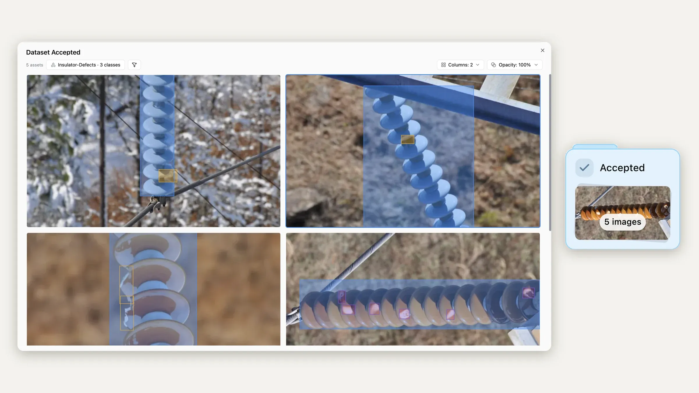 The Accepted dataset open in a preview window with labeled insulator images, next to the Accepted dataset card with 5 images