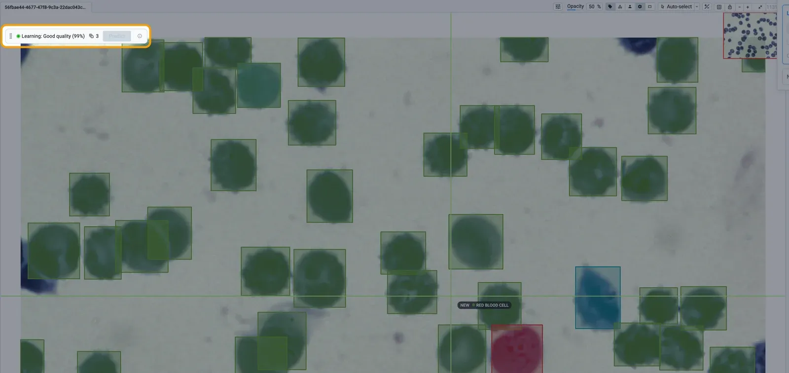 The labeling tool with the status chip that says Learning: Good quality (99%) over an image with model boxes on every cell